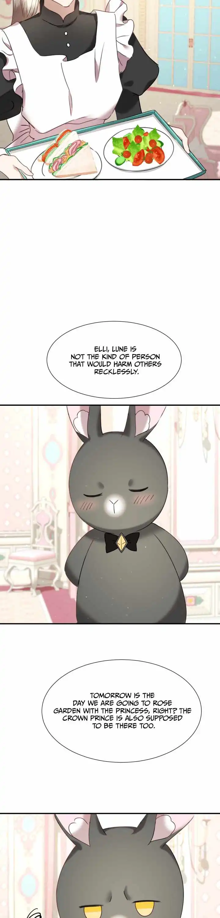 The Fake Princess' OP Bunny Chapter 43 28